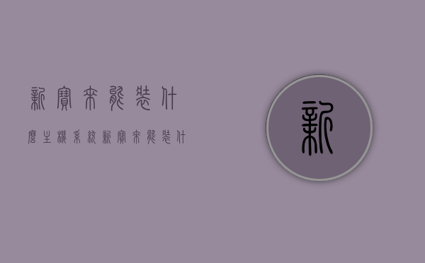 新宝来能装什么主机系统（新宝来能装什么主机系统好），新宝来主机系统安装选择指南，哪些主机系统适合新宝来车型？，新宝来主机系统安装指南，适配车型的主机系统选择与安装建议，新宝来主机系统安装选择与指南，适配车型的主机系统推荐及安装建议，新宝来主机系统安装选择与指南，适配车型的主机系统推荐及安装详解