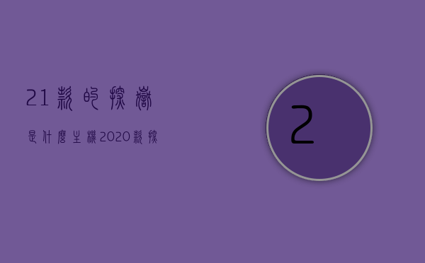 21款的探岳是什么主机（2020款探岳中控主机是什么型号），揭秘，2021款探岳的中控主机型号及功能解析，揭秘，2021款探岳中控主机型号及功能解析，带你了解全新主机体验，揭秘，2021款探岳中控主机型号及功能解析——全新体验带你了解主机性能