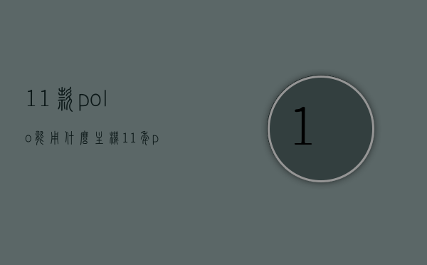 11款polo能用什么主机（11年polo用什么机油），11款Polo适用的主机及机油推荐，11款Polo主机及机油推荐指南，11款Polo主机及机油推荐指南，专业选购建议与实用指南