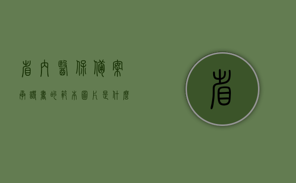 省内医保备案承诺书的范本图片是什么（省内医保备案承诺书的范本图片是什么意思），关于省内医保备案承诺书的范本图片详解及意义探究，关于省内医保备案承诺书的范本图片详解及其意义探究，承诺内容与承诺意义解析图片展示