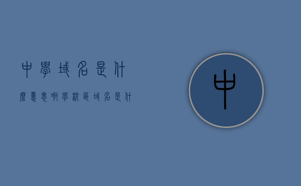 中学域名是什么意思啊（学校区域名是什么）