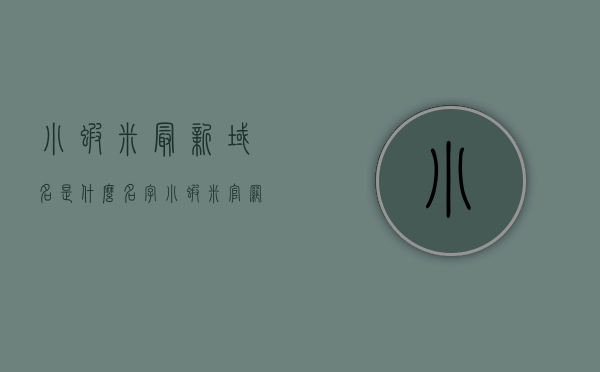 小虾米最新域名是什么名字（小虾米官网），小虾米官网最新域名名称揭晓，小虾米官网最新域名名称揭晓，最新域名名字一览