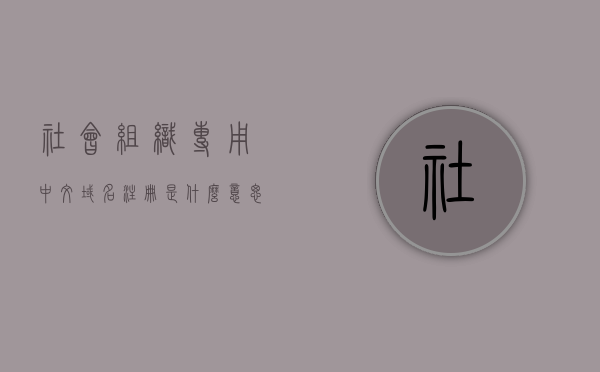 社会组织专用中文域名注册是什么意思（社会组织注册名称），社会组织专用中文域名注册详解，什么是注册名称及其重要性？，社会组织专用中文域名注册详解，注册名称的含义及其重要性探究