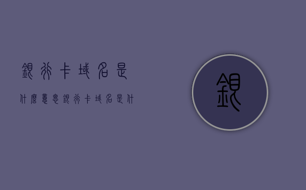 银行卡域名是什么意思（银行卡域名是什么意思啊），银行卡域名的含义解析，银行卡域名的含义解析与解析，深度解读银行卡域名概念