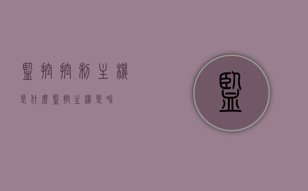 监控控制主机是什么（监控主机是啥），监控控制主机的概述与功能解析，监控控制主机概述及功能解析，了解监控主机的定义与核心功能，监控控制主机概述，定义、功能与应用解析，监控控制主机详解，定义、功能及应用解析 第1张