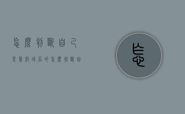 怎么判断自己是几级域名的（怎么判断自己是几级域名的用户），如何判断自己属于几级域名用户？，如何确定自己属于几级域名用户？判断方法详解！