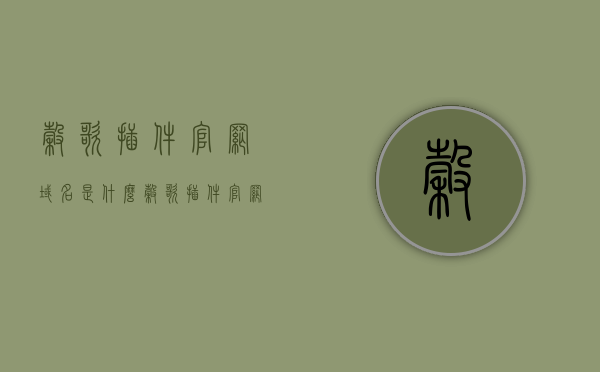 谷歌插件官网域名是什么（谷歌插件官网域名是什么），谷歌插件官网域名解析（Google Plugins Official Domain）