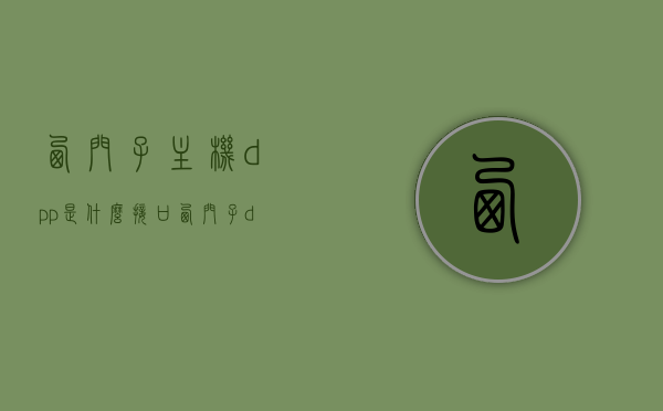 西门子主机dpp是什么接口（西门子dp插头接线实物图），西门子主机dpp接口解析及接线实物图指南
