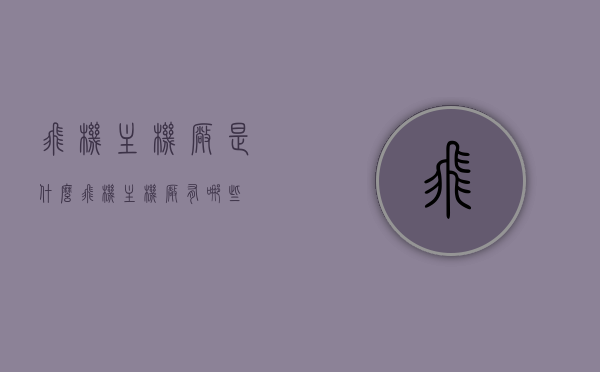 飞机主机厂是什么（飞机主机厂有哪些），飞机主机厂解析，了解飞机主机厂种类与特点