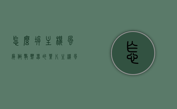 怎么拆主机风扇做散热器的叶片（主机风扇叶片怎么拆下来），主机风扇叶片拆卸指南，制作散热器叶片的步骤解析，主机风扇叶片拆卸指南，制作散热器叶片的步骤全解析，主机风扇叶片拆卸指南，制作散热器叶片的步骤详解与全解析，主机风扇叶片拆卸指南，制作散热器叶片的步骤详解与全解析，主机风扇叶片拆卸指南，制作散热器叶片的步骤详解与全解析