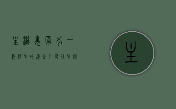 主机里面有一根橙色的线是什么线（主机里一根蓝色的线是干嘛的），主机内部橙色与蓝色线路解析，功能与识别指南，主机内部线路解析，橙色与蓝色线路的功能与识别指南