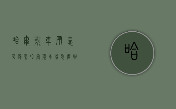 哈尔滨车辆怎么备案（哈尔滨车牌怎么办理），哈尔滨车辆备案及车牌办理流程指南，哈尔滨车辆备案与车牌办理流程指南，哈尔滨车辆备案与车牌办理流程详解，一站式指南，哈尔滨车辆备案与车牌办理流程详解，一站式指南，哈尔滨车辆备案与车牌办理流程详解，一站式指南及办理指南