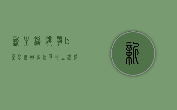 新主机没有b盘怎么回事（新买的主机没有系统怎么办），新主机缺失B盘问题及无系统解决方案探讨