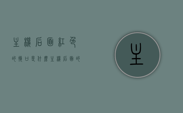 主机后面红色的接口是什么（主机后面的接口详细介绍），主机背后接口详解，红色接口揭秘
