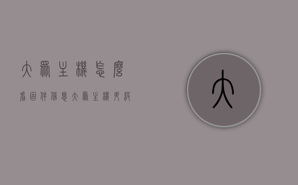 大众主机怎么看固件信息（大众主机升级固件教程），大众主机固件信息查看及升级教程