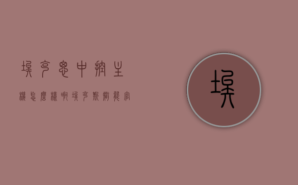 埃克思中控主机怎么样啊（埃克斯智能官网），埃克思中控主机深度解析，用户体验与功能特点（来自埃克斯智能官网），埃克思中控主机深度解析，功能特点、用户体验与官网评价，埃克思中控主机深度解析，功能特点、用户体验及官网评价 - 来自埃克斯智能官网的权威解读
