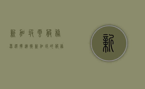 新加坡云服务器选择（连接新加坡的服务器），新加坡云服务器连接选择指南，新加坡云服务器连接指南，如何选择最佳服务器选项 第1张