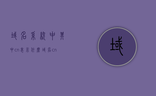 域名系统中其中cn表示什么（域名cn含义），域名系统中cn的含义，解析域名中的.cn代表什么？