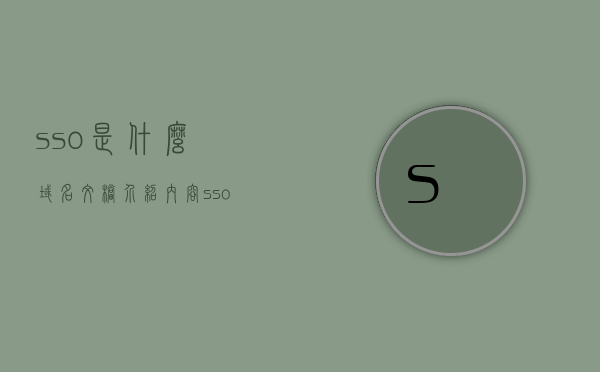 sso是什么域名文档介绍内容（sso auth），SSO域名文档介绍及身份验证功能解析，SSO域名文档介绍，身份验证功能与SSO是什么解析介绍，SSO域名文档详解，身份验证功能与域名介绍解析 第1张