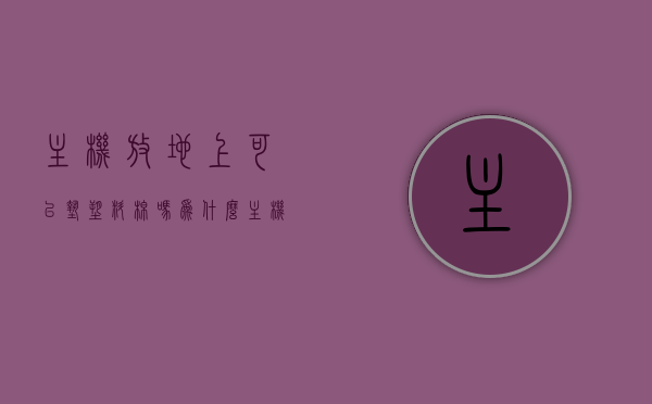 主机放地上可以垫塑料棉吗为什么（主机放地上会影响主机吗），主机放置，塑料棉垫使用及影响探讨，主机放置细节探讨，塑料棉垫的使用及其对主机的影响分析，主机放置细节探讨，塑料棉垫的使用及其对主机的影响分析主机放地上可以垫塑料棉吗？塑料棉垫对主机的影响探讨