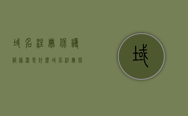 域名注册保护服务器是什么（域名注册保护服务器是什么意思），域名注册保护服务器的概念与功能解析