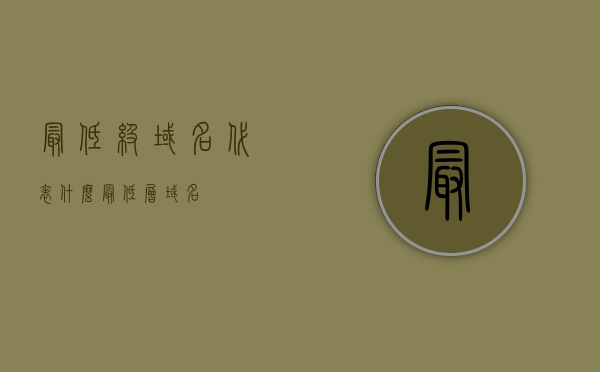 最低级域名代表什么（最低层域名），最低级域名的含义与解读