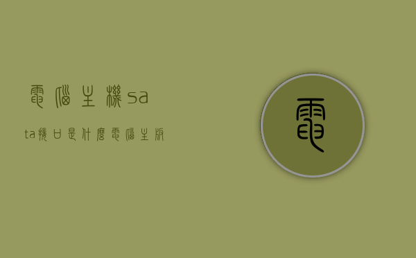 电脑主机sata接口是什么（电脑主板上sata1接口），电脑主机SATA接口详解，什么是SATA接口及主板上的SATA1功能介绍，电脑主机SATA接口详解，认识SATA及主板上的SATA1功能介绍