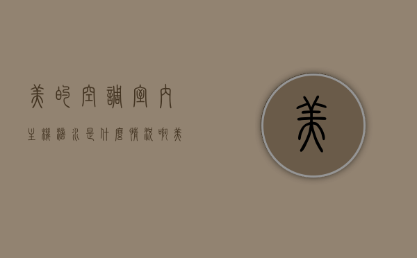 美的空调室内主机滴水是什么情况啊（美的空调室内主机滴水是什么情况啊），美的空调室内主机滴水原因解析，美的空调室内主机滴水原因解析与应对之策，美的空调室内主机滴水原因解析及应对之策，美的空调室内主机滴水原因解析及应对之策全攻略，美的空调室内主机滴水原因解析及应对之策全攻略