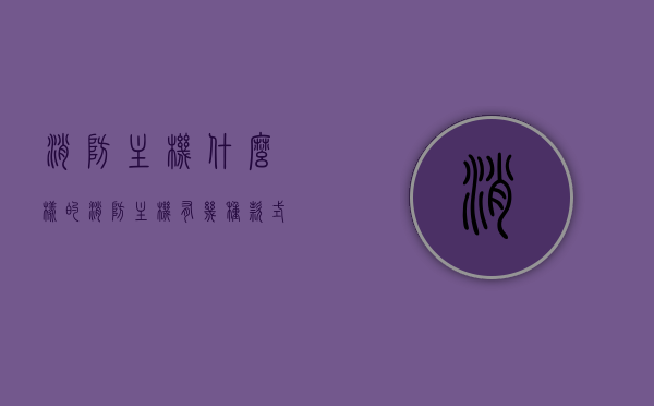 消防主机什么样的（消防主机有几种款式），消防主机的款式与特点解析，消防主机款式与特点全面解析，探索不同消防主机的类型与特性