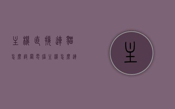 主机直接连猫怎么设置（电脑主机怎么连接猫和路由器），电脑主机连接猫与路由器的设置步骤，电脑主机连接猫与路由器的设置教程，详细步骤指南，电脑主机连接猫与路由器的设置教程，详细步骤指南，电脑主机连接猫与路由器的设置教程，详细步骤指南与连接方法解析