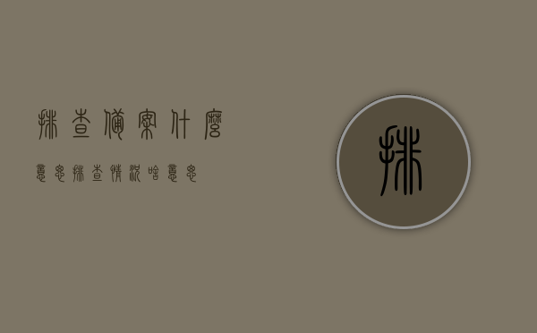 排查备案什么意思（排查情况啥意思），排查备案与排查情况的详解