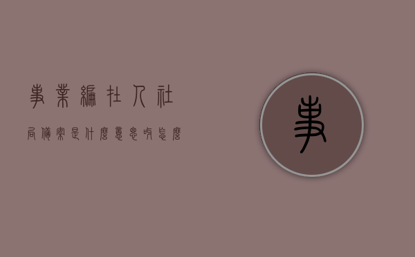 事业编在人社局备案是什么意思呀怎么填（事业编制在人社局备案是什么意思），事业编在人社局备案详解，流程与意义解析，事业编在人社局备案详解，流程、意义及填写指南