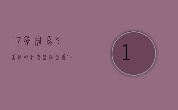 17年宝马3系用的什么主机型号（17款宝马三系是什么主机），揭秘，2017款宝马3系主机型号全解析，揭秘解析，2017款宝马三系主机型号全解析揭秘！