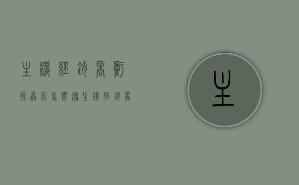 主机经销商亏损原因怎么写（主机经销商亏损原因怎么写说明），主机经销商亏损原因分析及说明，主机经销商亏损原因分析及说明，深度探究亏损背后的原因与解决方案