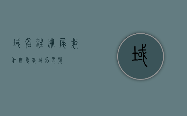 域名注册尾数什么意思（域名尾号），域名注册尾数的含义解析，什么是域名尾号？