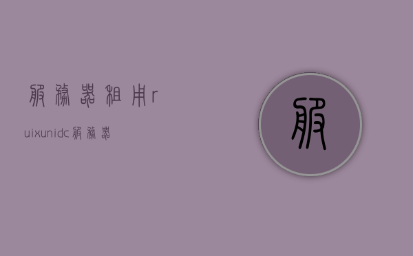 服务器租用ruixunidc（服务器租用一天），服务器租用一天，选择ruixunidc的专业服务，选择RuixunIDC的专业服务，服务器租用一天 第1张