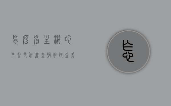 怎么看主机的内存是什么型号（如何查看主机内存），如何查看主机内存型号？详细步骤解析，如何详细查看主机内存型号，步骤解析与技巧分享