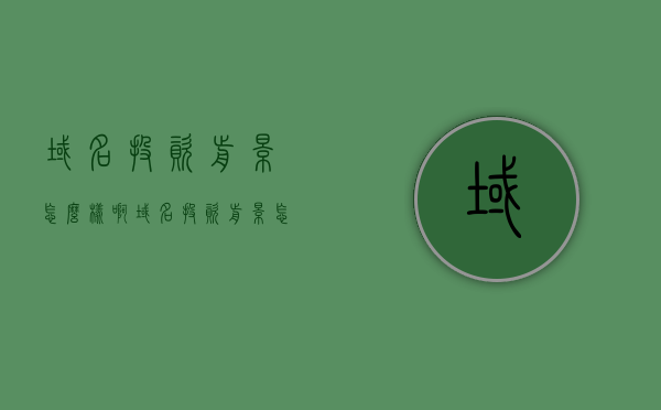 域名投资前景怎么样啊（域名投资前景怎么样啊知乎），域名投资前景深度解析，行业趋势与知乎热议探讨