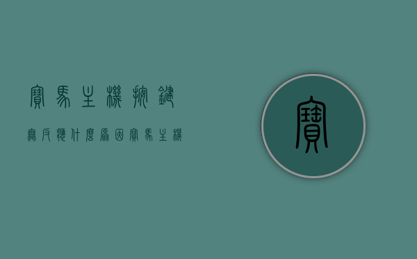 宝马主机按键无反应什么原因（宝马主机接线定义图），宝马主机按键失灵原因及接线定义图解析，宝马主机按键失灵原因及接线定义图详解，按键无反应的原因解析与图解，宝马主机按键失灵原因及接线定义详解，图解与解析