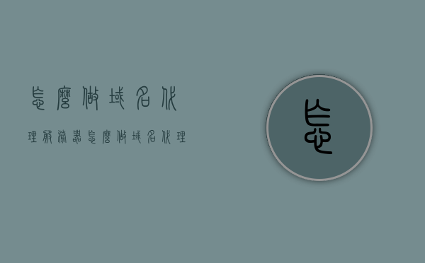 怎么做域名代理服务器（怎么做域名代理服务器设计），如何设计域名代理服务器，步骤与指南