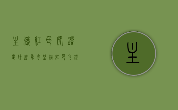 主机红色闪灯是什么意思（主机红色的灯一直闪），主机红色闪灯的含义与解析，为何主机红灯持续闪烁？，解析主机红色闪灯，原因、含义及为何持续闪烁，解析主机红色闪灯，原因、含义及持续闪烁的解析与解析，主机红色闪灯解析大全，原因、含义及持续闪烁的详解，主机红色闪灯解析，原因、含义及持续闪烁的详解