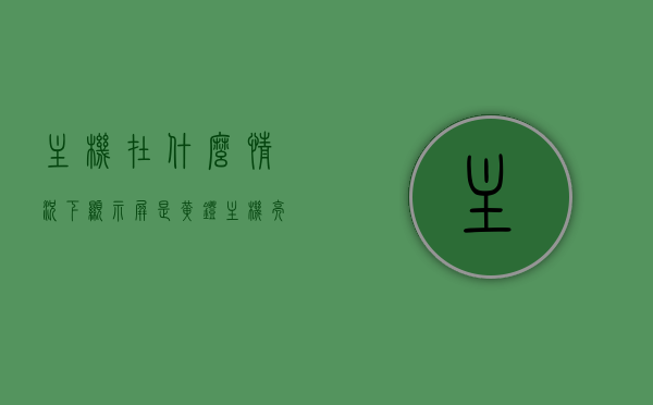 主机在什么情况下显示屏是黄灯（主机亮灯,显示屏幕黄灯），主机亮灯时显示屏黄灯闪烁的原因解析，主机亮灯时显示屏黄灯闪烁的原因解析，什么情况下会出现黄灯显示？，主机亮灯时显示屏黄灯闪烁的原因解析，多种情况下的黄灯显示及其原因探讨