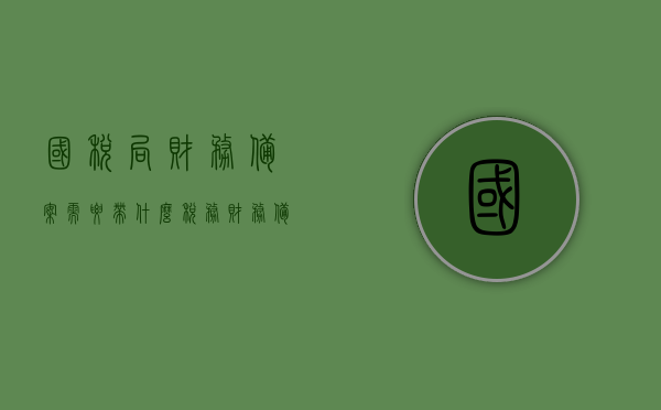 国税局财务备案需要带什么（税务财务备案），国税局财务备案所需材料及流程指南（税务财务备案全攻略）
