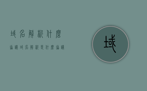 域名解析什么协议（域名解析是什么协议程序需要实现的功能），域名解析涉及哪些协议及其功能实现解析程序的功能需求解析标题，域名解析协议解析及程序功能需求概览