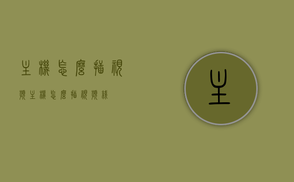 主机怎么插视频（主机怎么插视频线），主机视频线连接指南，详细步骤教你如何插入视频线，主机视频线连接详解，一步步教你如何正确插入视频线指南，主机视频线连接详解，一步步教你正确插入视频线，主机视频线连接详解，一步步教你如何正确插入视频线指南