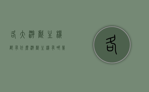 各大游戏主机都有什么（游戏主机有哪几种），游戏主机种类概览，探索各大主机平台的特点与种类，游戏主机种类概览，探索各大主机平台的特点与种类全解析
