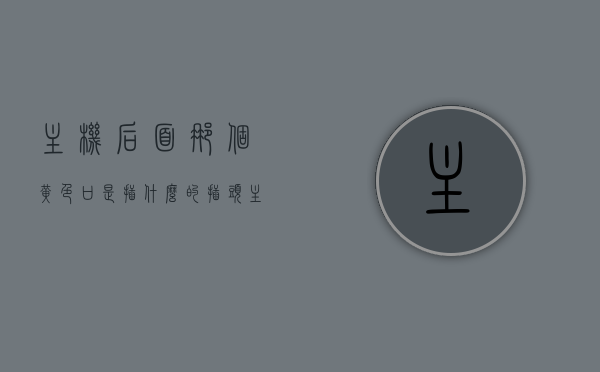 主机后面那个黄色口是插什么的插头（主机后面黄灯长亮），主机背后的黄色插口功能与插头解析，黄灯长亮的背后真相，揭秘主机背后黄色插口功能与真相，黄灯长亮背后的原因解析及插头解析