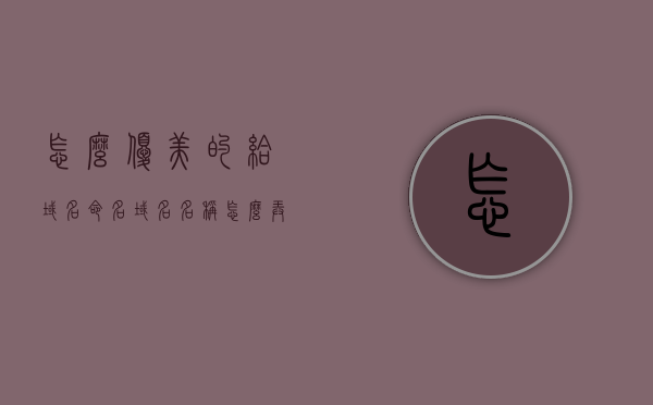 怎么优美的给域名命名（域名名称怎么弄），如何优雅地命名域名，技巧与策略，域名命名艺术，优雅策略与技巧全解析 第1张