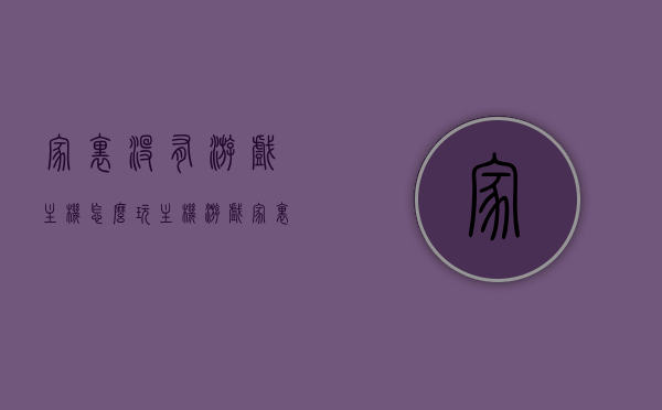 家里没有游戏主机怎么玩主机游戏（家里没有主机怎么装wifi），无主机也能玩主机游戏？家庭WiFi安装指南与游戏策略探讨