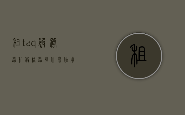 租taq服务器（租服务器有什么作用），租用TAQ服务器，其用途与优势解析